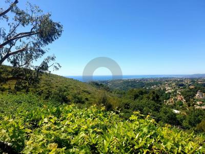 For sale Aspremont 7 rooms 138 m2 Alpes Maritimes (06790) photo 0