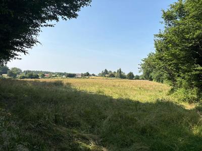 For sale 28861 m2 Haute vienne (87800) photo 1