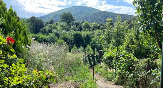 For sale AU COEUR DU VILLAGE 8 rooms 167 m2 Herault (34390) photo 0