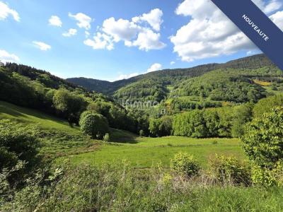 Annonce Vente 10 pices Maison Lapoutroie 68