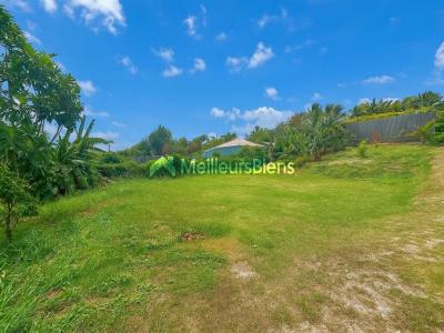 For sale Saint-francois 3 rooms 100 m2 Guadeloupe (97118) photo 1