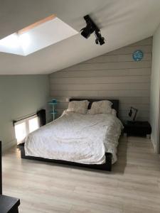 Annonce Location 2 pices Appartement Bordeaux 33
