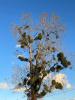 For sale Land Feillens