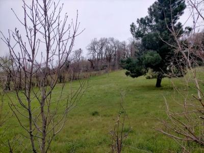 For sale Chateauneuf-sur-isere 690 m2 Drome (26300) photo 1