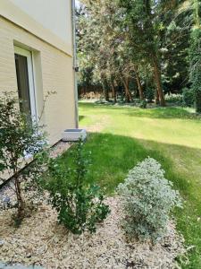 For rent Dammarie-les-lys 3 rooms 60 m2 Seine et marne (77190) photo 1