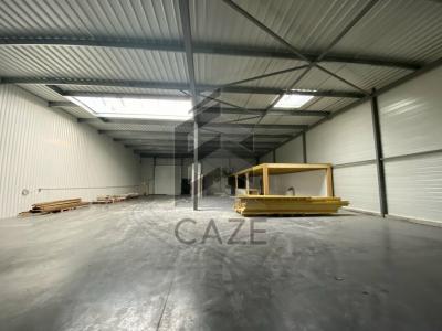 Annonce Location Commerce Canejan 33