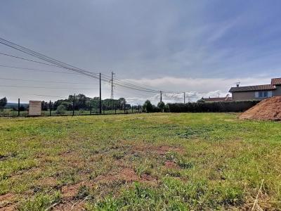 For sale Frontonas 590 m2 Isere (38290) photo 2