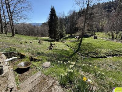 For sale Muhlbach-sur-munster 3 rooms 88 m2 Haut rhin (68380) photo 1
