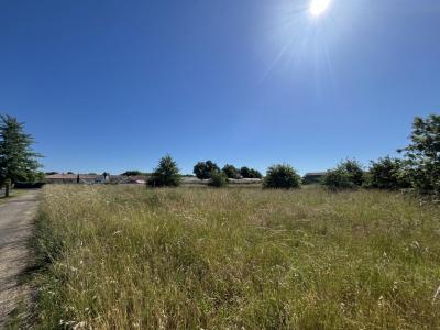 Annonce Vente Terrain Saucats 33