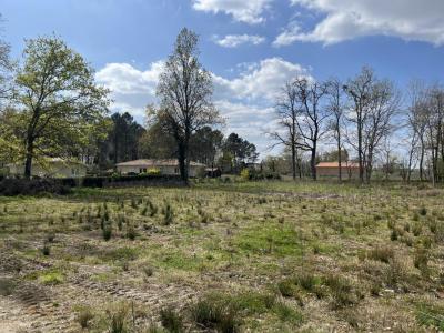 For sale Leognan 830 m2 Gironde (33850) photo 1
