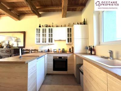 Acheter Maison 430 m2 Mirepoix