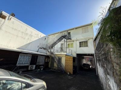 For sale Saint-joseph 330 m2 Reunion (97480) photo 2