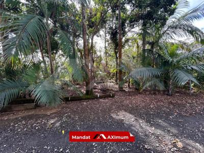 For sale Saint-benoit 539 m2 Reunion (97470) photo 1