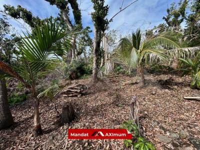 For sale Saint-benoit 539 m2 Reunion (97470) photo 2