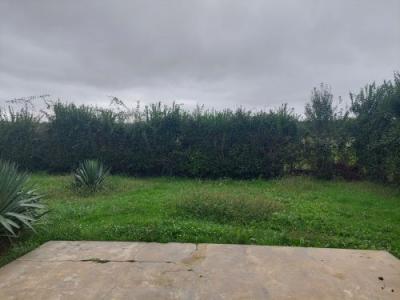 Annonce Vente 3 pices Maison Nerondes 18