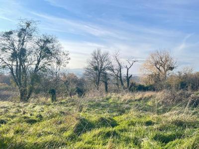 For sale Saone et loire (71850) photo 0