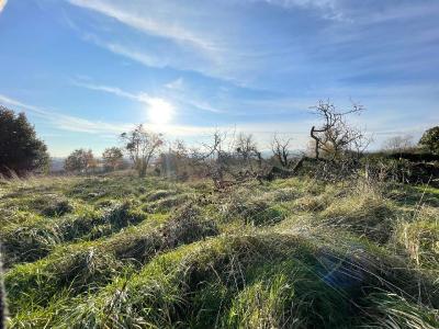 Acheter Terrain  250000 euros