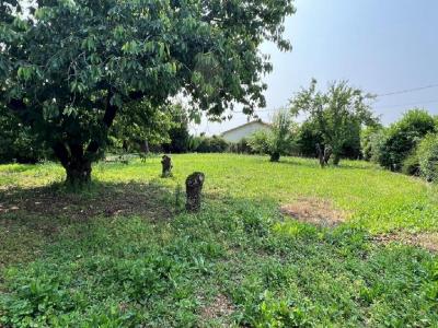 For sale 7 rooms 162 m2 Charente (16700) photo 2