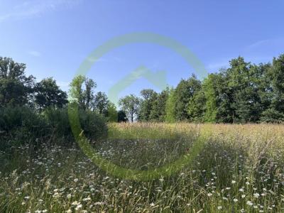 Acheter Prestige Chenerailles Creuse