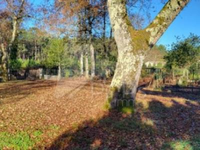 For sale Barp 5 rooms 105 m2 Gironde (33114) photo 2