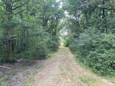 For sale Migne 6 rooms 140 m2 Indre (36800) photo 3