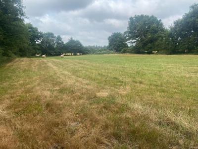 For sale Migne 6 rooms 140 m2 Indre (36800) photo 4