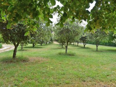 For sale Saint-crepin-et-carlucet 5 rooms 131 m2 Dordogne (24590) photo 3