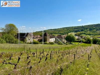For sale Chassey-le-camp 428 m2 Saone et loire (71150) photo 2