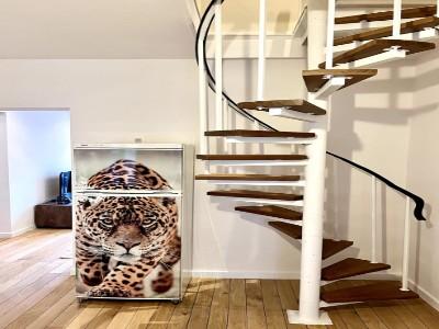 Annonce Location Appartement Villefranche-sur-mer 06
