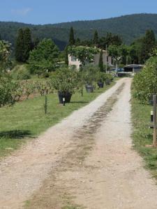 For sale Cuers 6 rooms 211 m2 Var (83390) photo 4