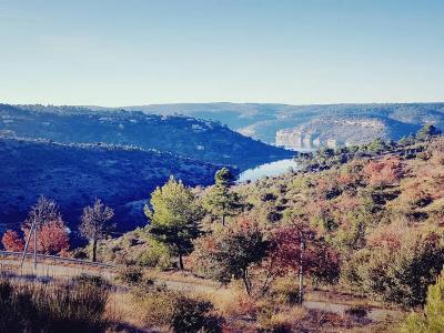 Annonce Vente Terrain Greoux-les-bains 04