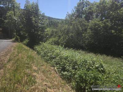 Annonce Vente Terrain Wisembach 88