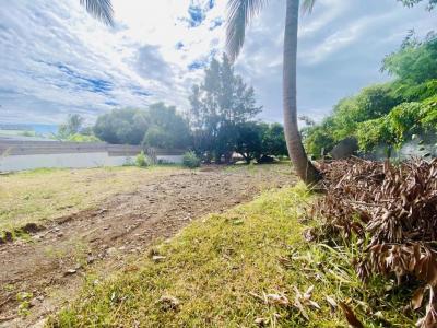 Annonce Vente Terrain Saint-gilles-les-hauts 974
