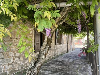 For sale Saint-andre-de-cruzieres 8 rooms 190 m2 Ardeche (07460) photo 1