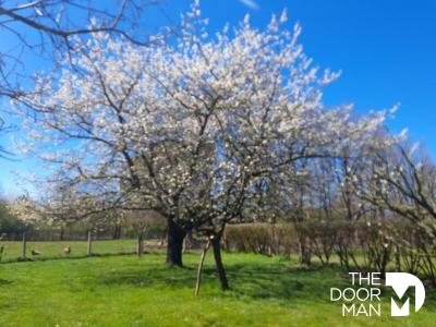Annonce Vente 9 pices Maison Lacourt-saint-pierre 82