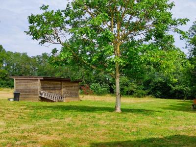 For sale Tournon-saint-pierre 2 rooms 60 m2 Indre et loire (37290) photo 4