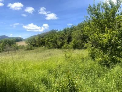 Annonce Vente Terrain Saint-lions 04