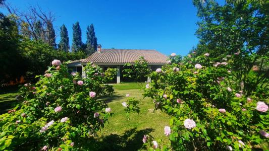For sale Saint-jory 5 rooms 123 m2 Haute garonne (31790) photo 0