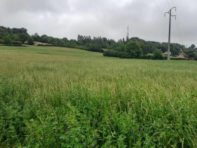 For sale Fleche 11500 m2 Sarthe (72200) photo 1