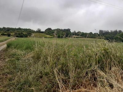 For sale Fleche 11500 m2 Sarthe (72200) photo 2