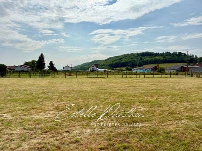 Annonce Vente Terrain Longechenal 38