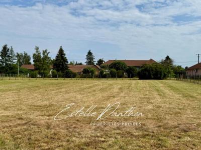 Acheter Terrain 1082 m2 Longechenal