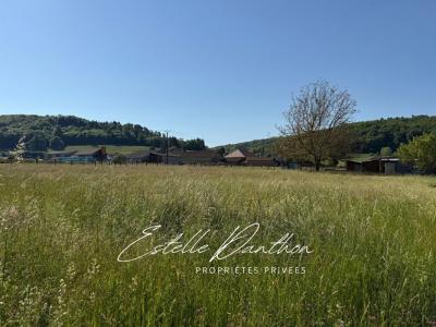 Acheter Terrain Longechenal Isere