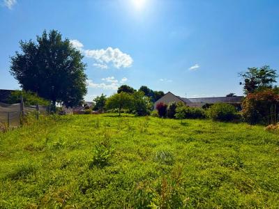 For sale Sceaux-d'anjou 941 m2 Maine et loire (49330) photo 3