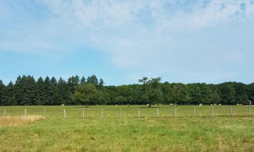 Acheter Maison 84 m2 Vieilley