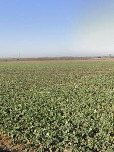 For sale Angliers 335 m2 Charente maritime (17540) photo 0
