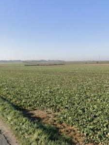 Annonce Vente Terrain Angliers 17