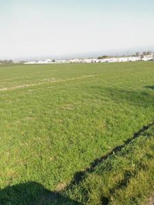 Acheter Terrain 335 m2 Angliers
