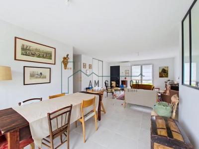 Louer Maison Aixe-sur-vienne 995 euros
