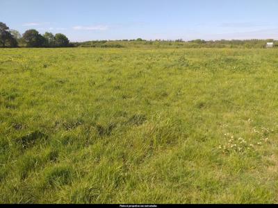 For sale Moutiers-les-mauxfaits Vendee (85540) photo 1